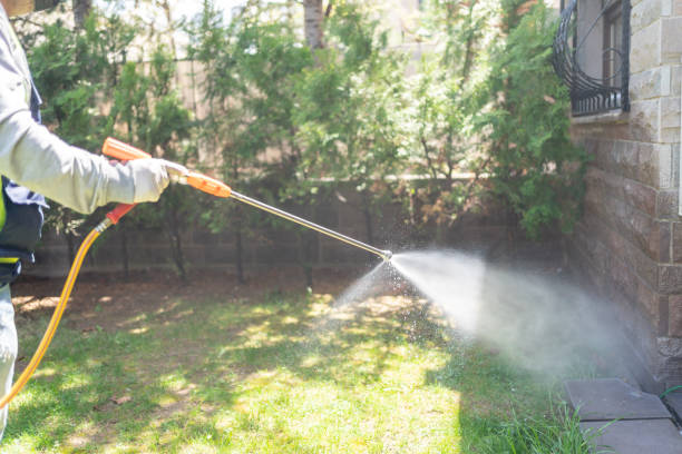 Best Pest Removal Services  in Sistersville, WV